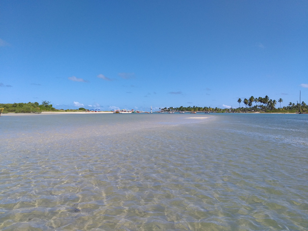 Projeto Hippocampus-嘎林海斯港必去景点