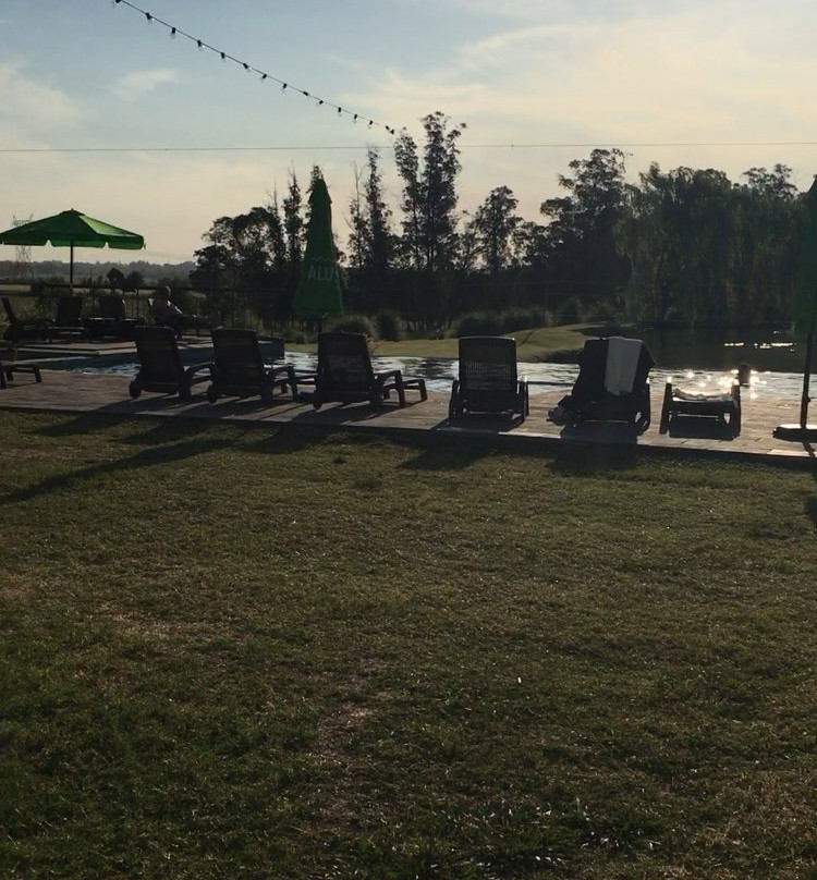 Regency Park Hotel主图