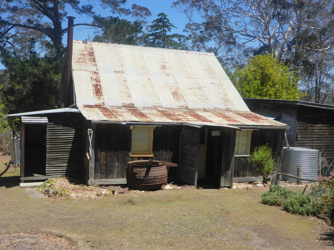 Davidson Whaling Station-伊登港必去景点