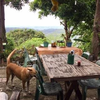 Natures Healing Home-San Fernando La Union必去景点