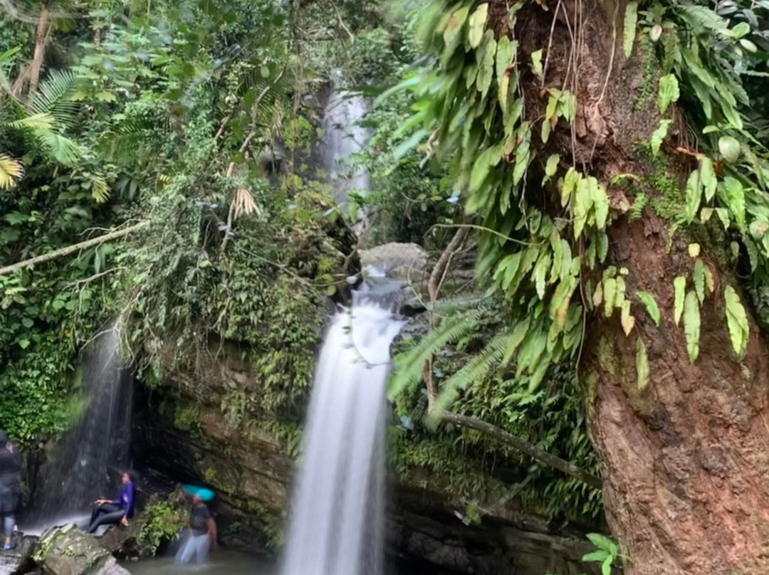 Cataratas Juan Diego景点图片