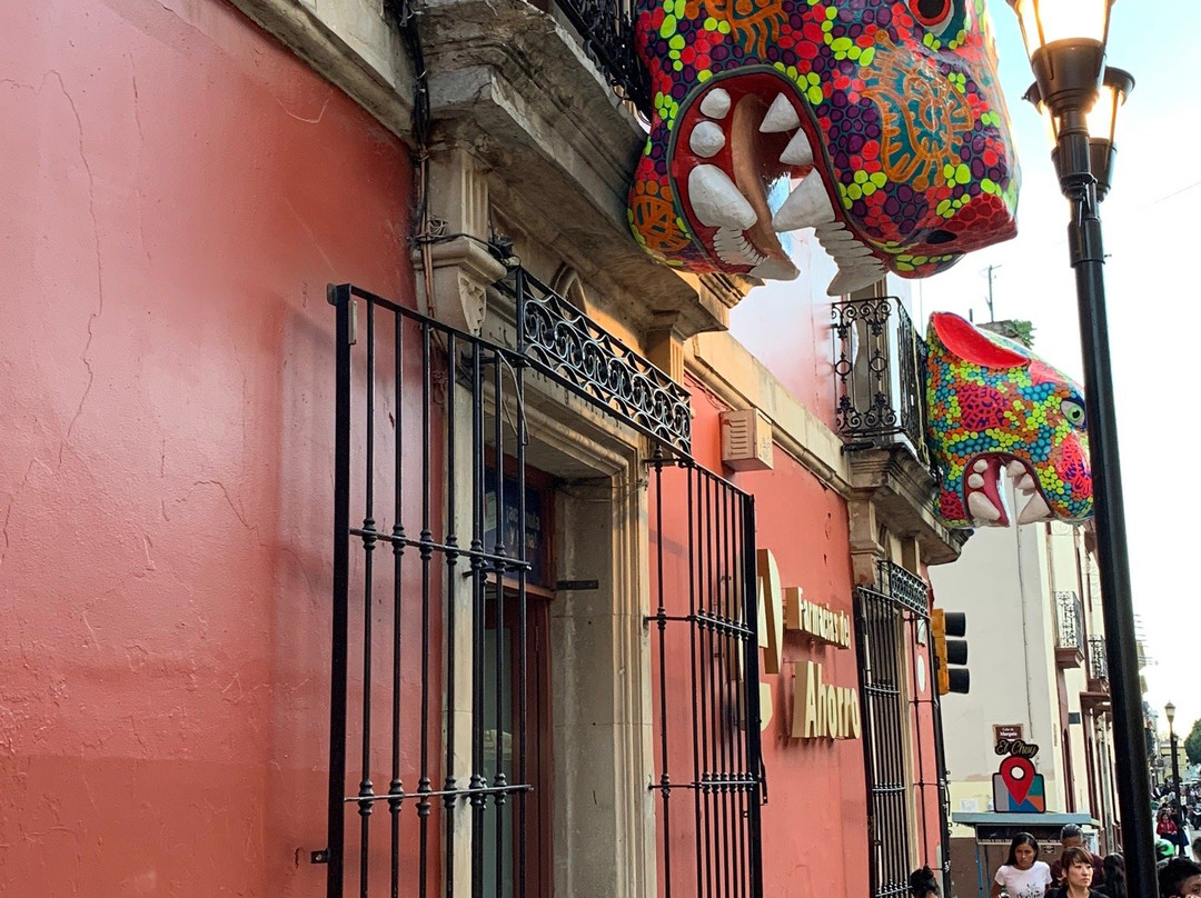 Huizache - Arte Vivo de Oaxaca-瓦哈卡必去景点