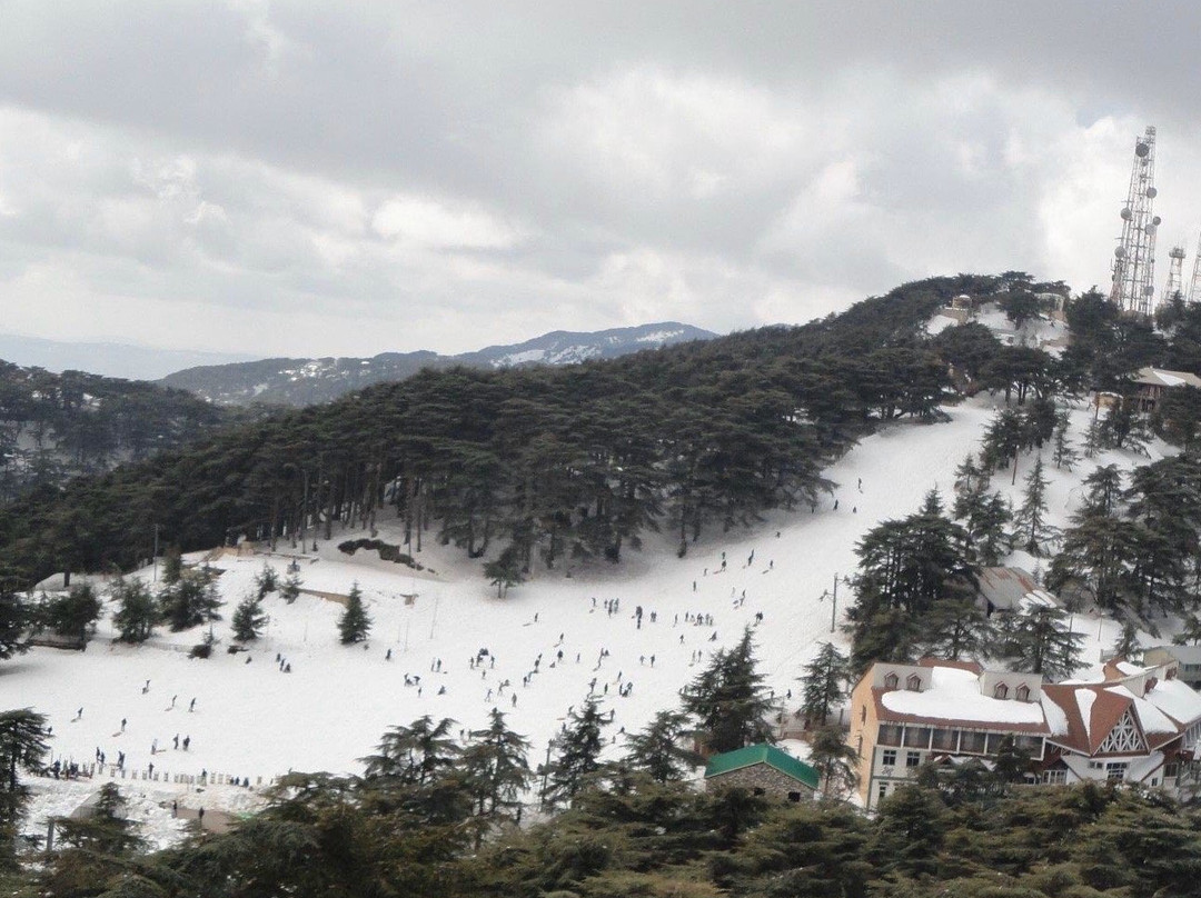 Ski Club景点图片