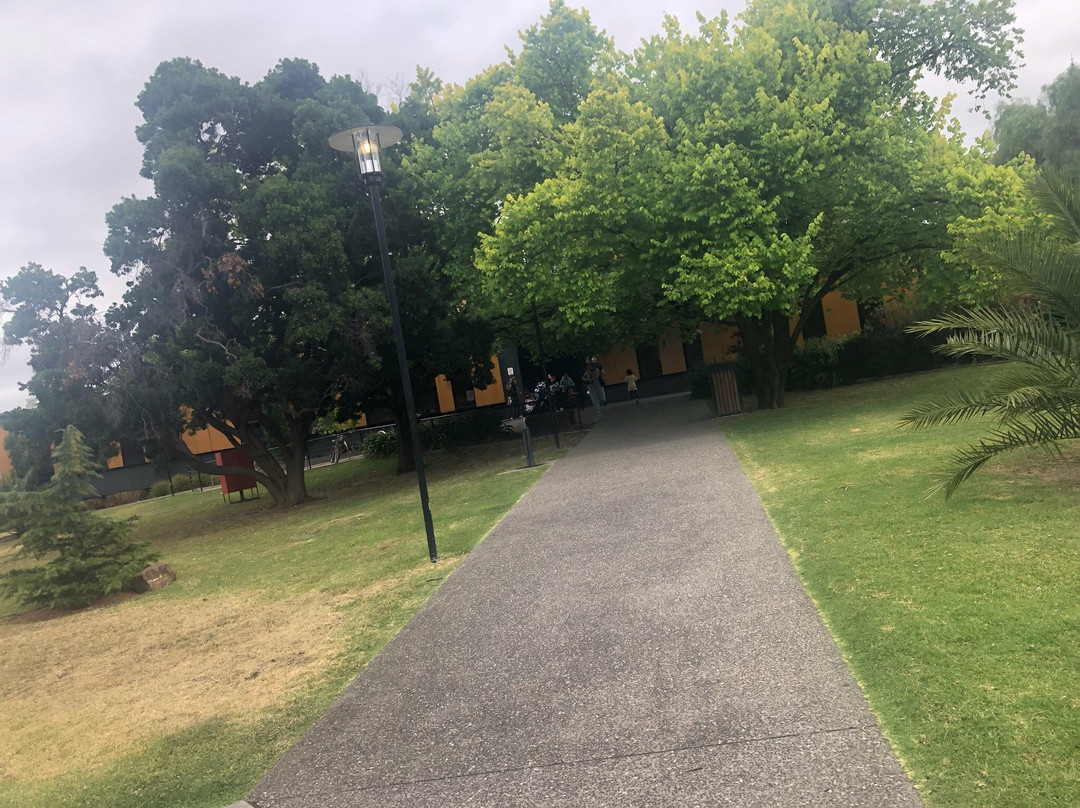 Hawthorn Library-霍索恩必去景点