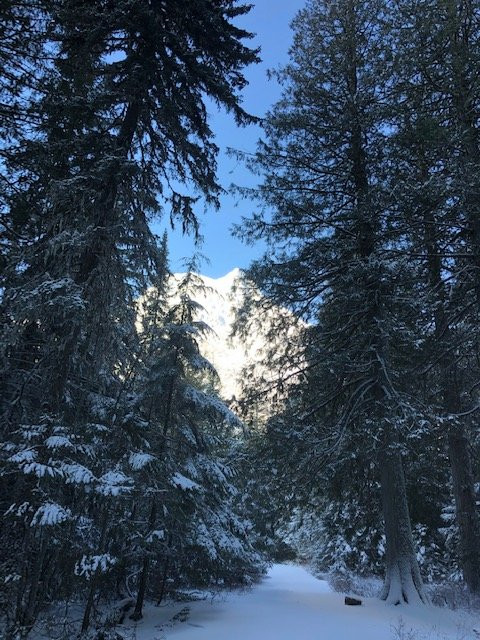 Trail of the Cedars-冰河国家公园必去景点