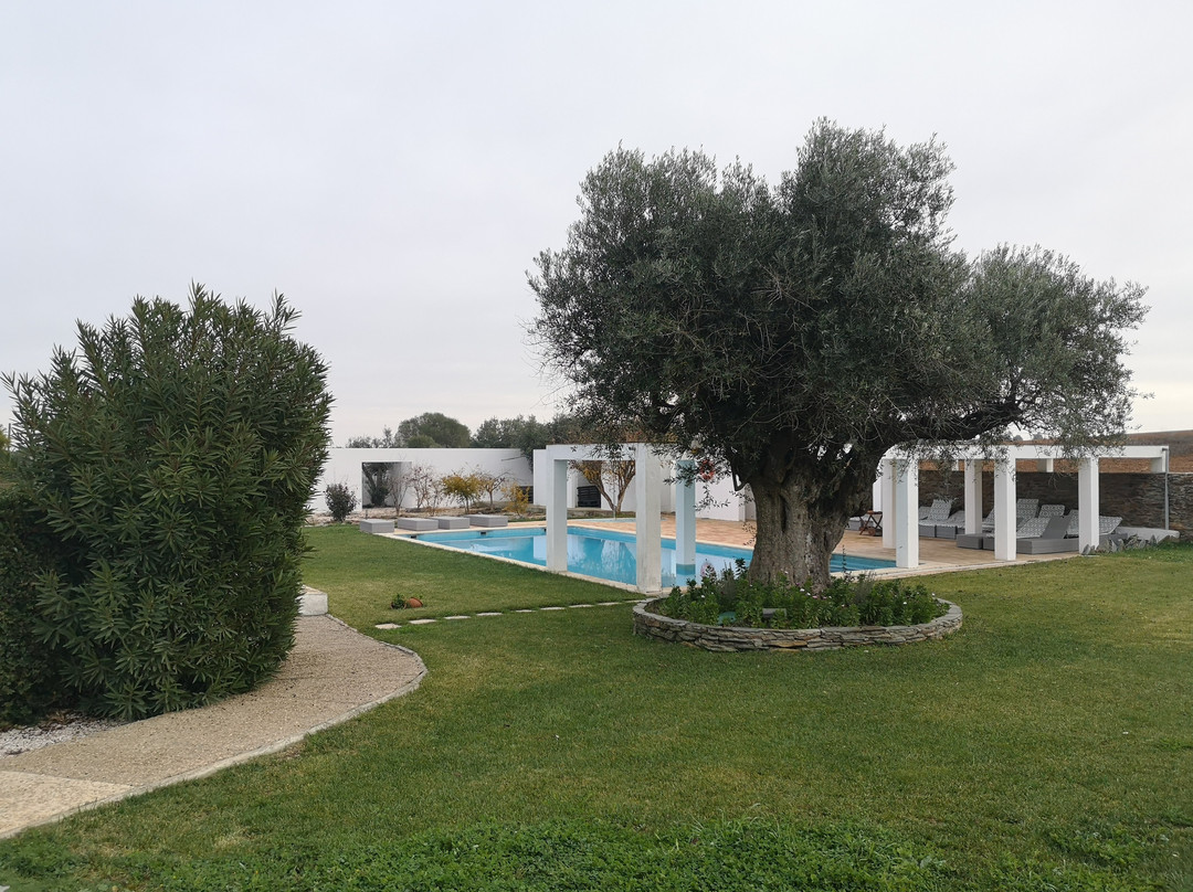 Horta Da Coutada主图