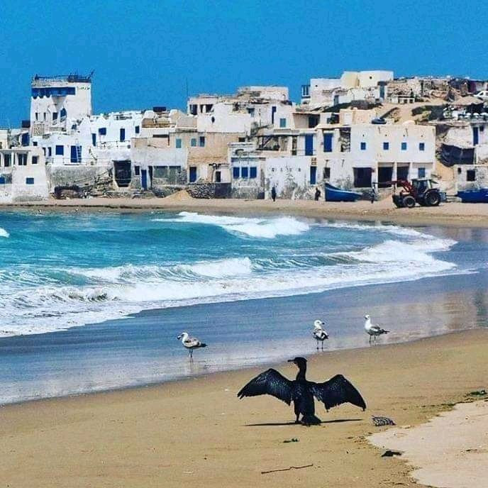 Fun Beginner's Surf Experience in Agadir!-阿加迪尔必去景点