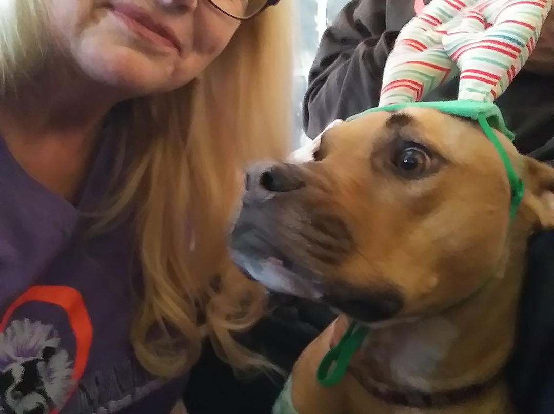 Stanley's Northeast Bar Room-明尼阿波利斯必去景点