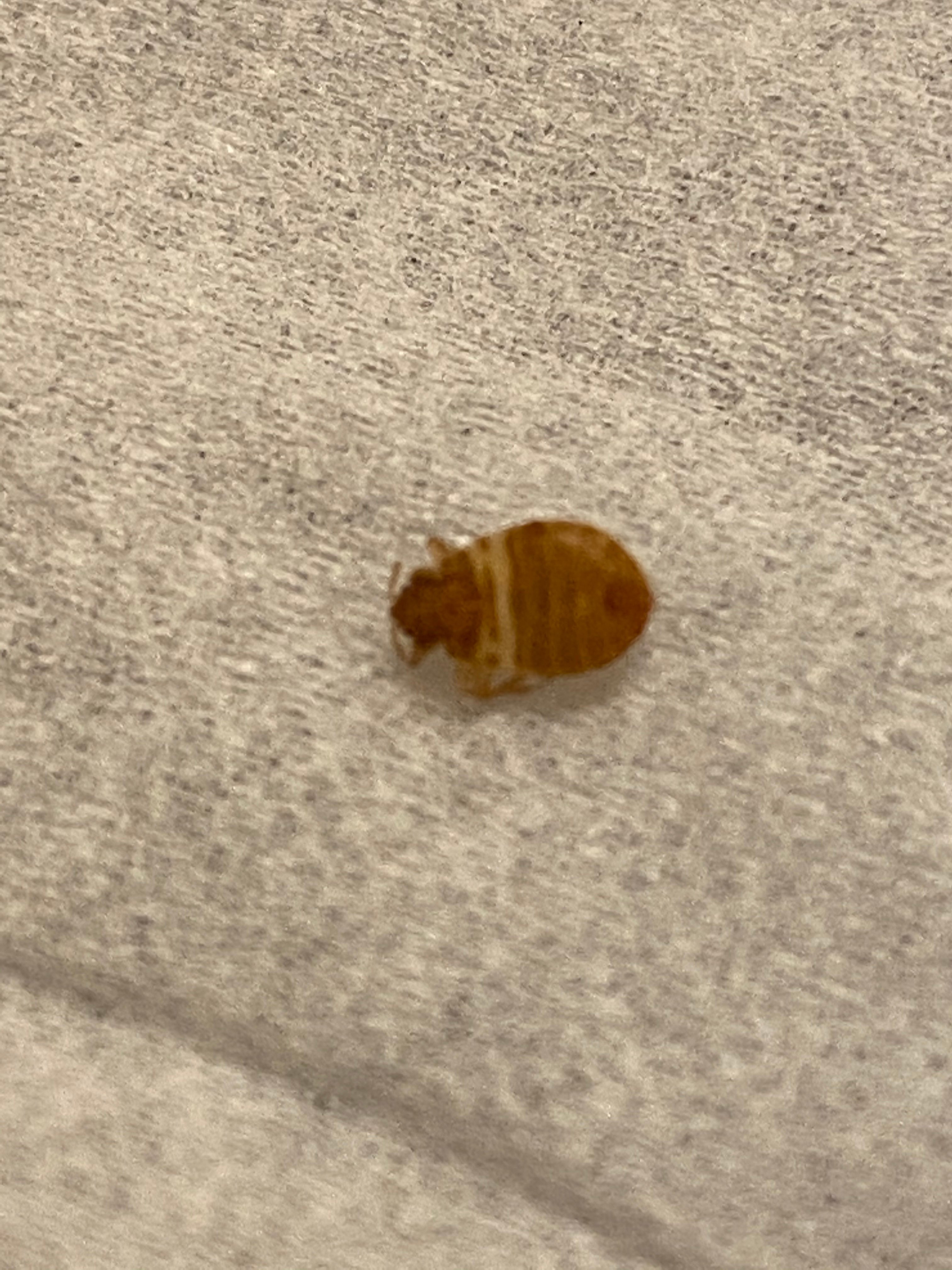 波士顿皮博迪万豪酒店-酒店景观