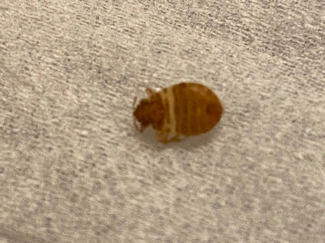 波士顿皮博迪万豪酒店主图