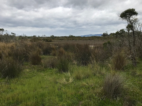 Port Franklin Boardwalk-Port Franklin必去景点