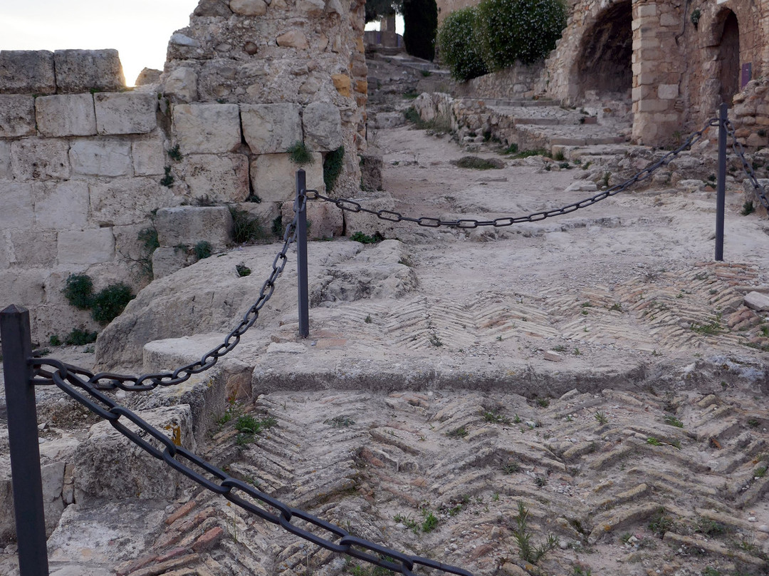 Castell De Xativa景点图片
