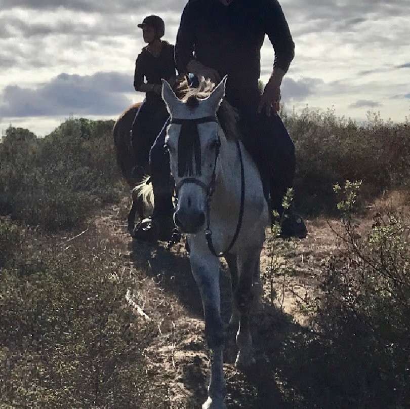 Donana Horse Adventure景点图片