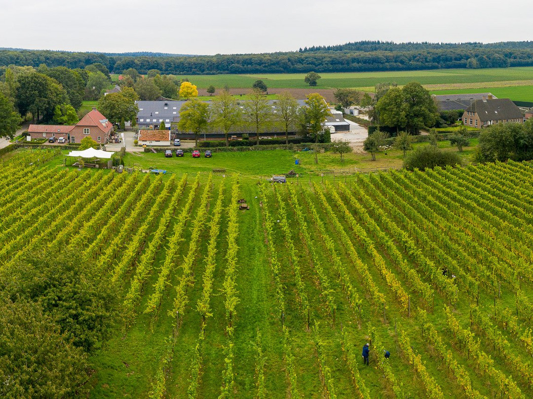 wijngaard de Plack景点图片