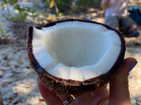 Rainforest Spirit Tours-凯恩斯必去景点