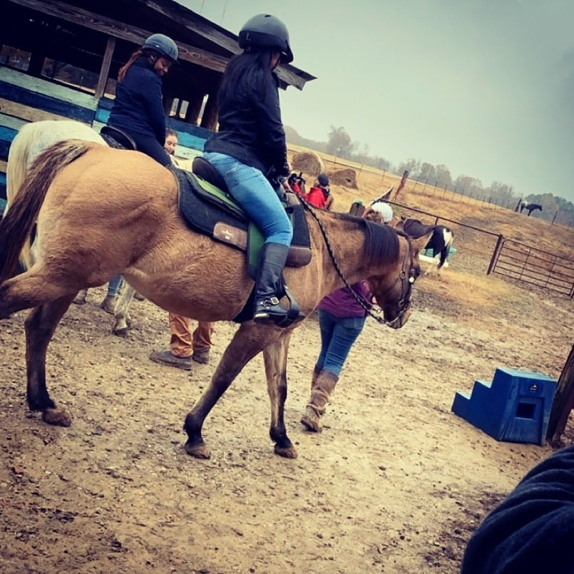 Shelby Farms Stables-孟菲斯必去景点