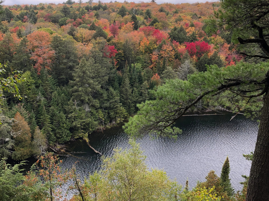 Hemlock Bluff Trail景点图片