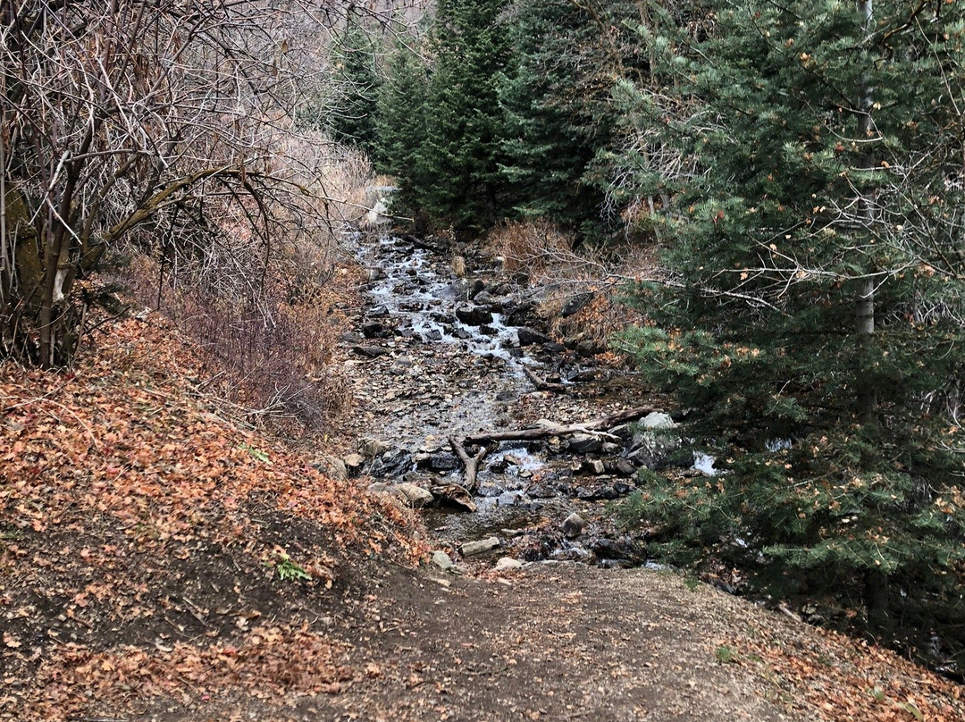Adams Canyon Trail景点图片