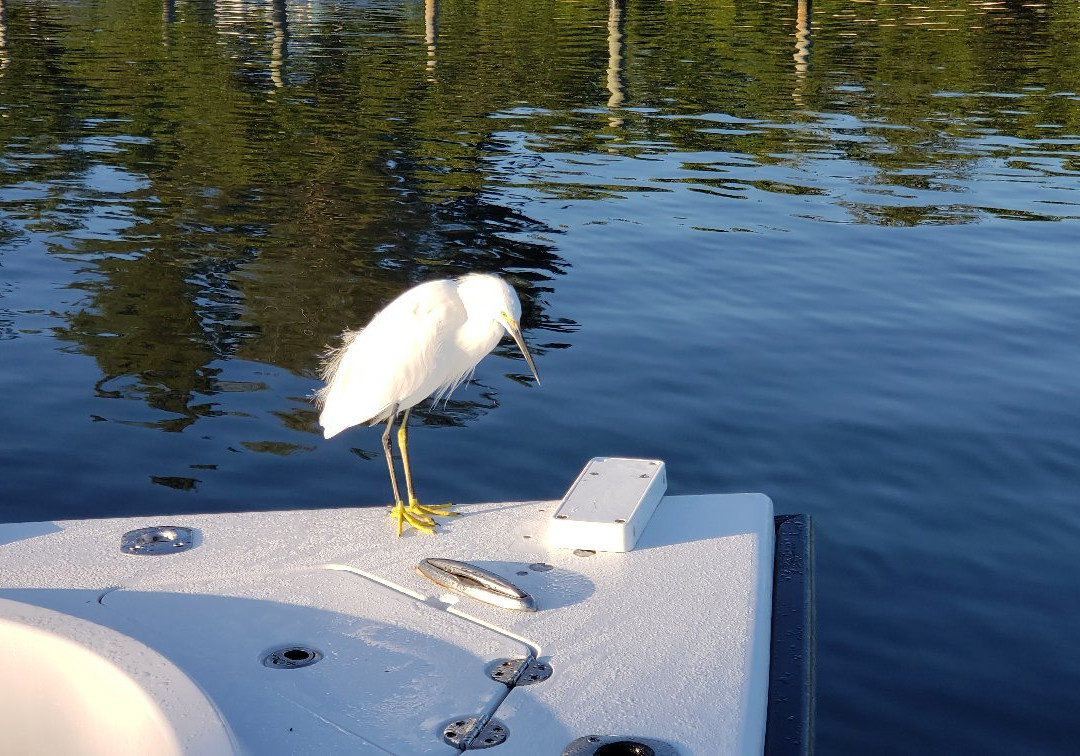 Salty Jaw Fishing Charters-Boca Grande必去景点
