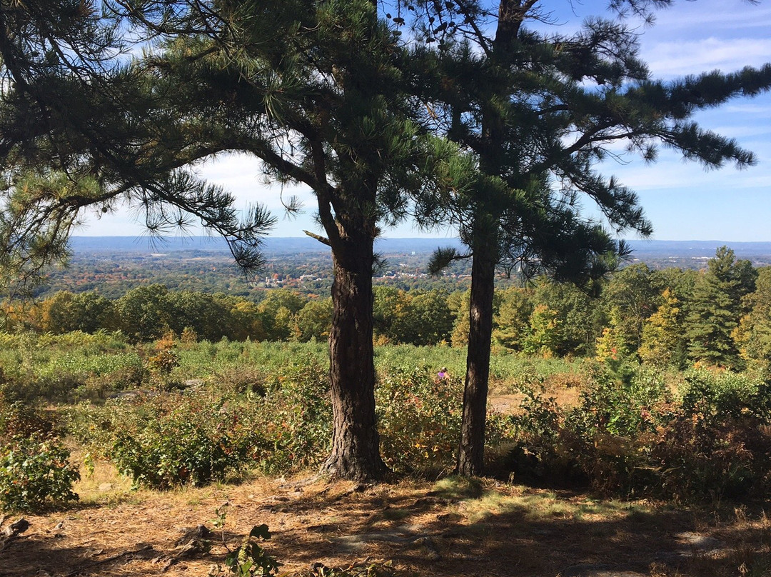 Case Mountain-曼彻斯特必去景点