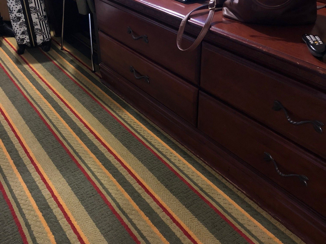 Quality Inn & Suites主图