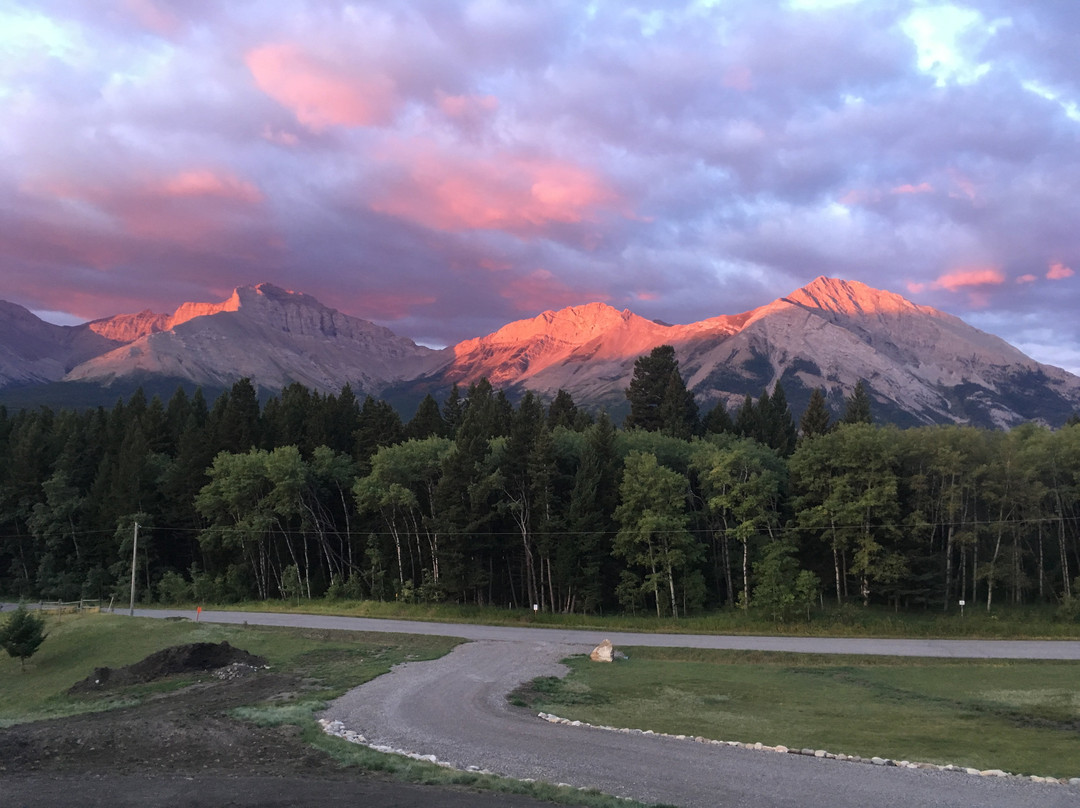 科尔曼旅游攻略图片