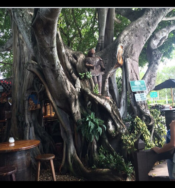 The Field Irish Pub & Eatery-劳德代尔堡必去景点