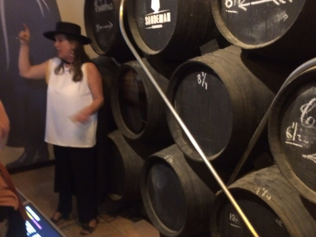 The House of Sandeman Jerez景点图片