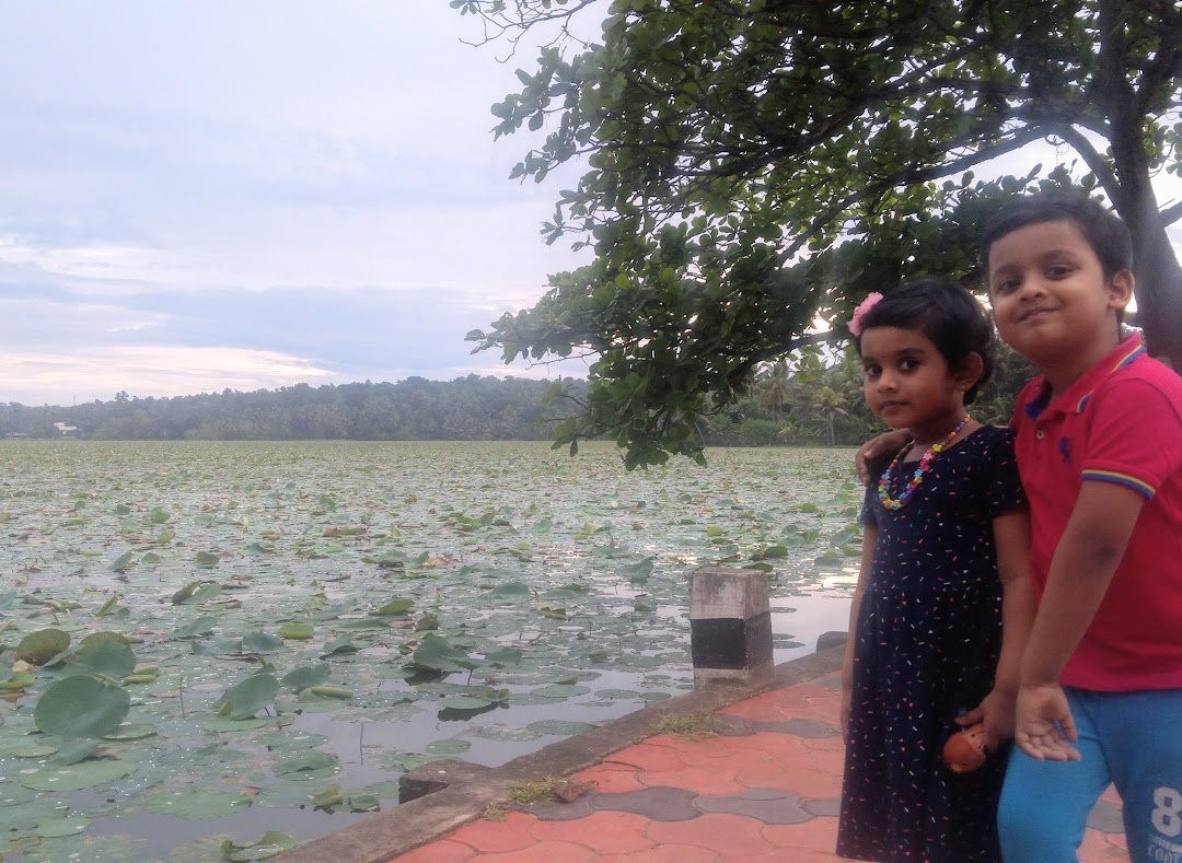 Vellayani Lake景点图片