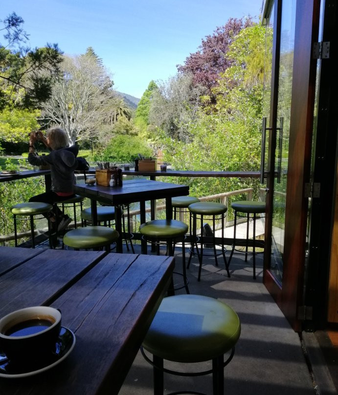 The Suter Art Gallery Te Aratoi o Whakatū-尼尔森必去景点