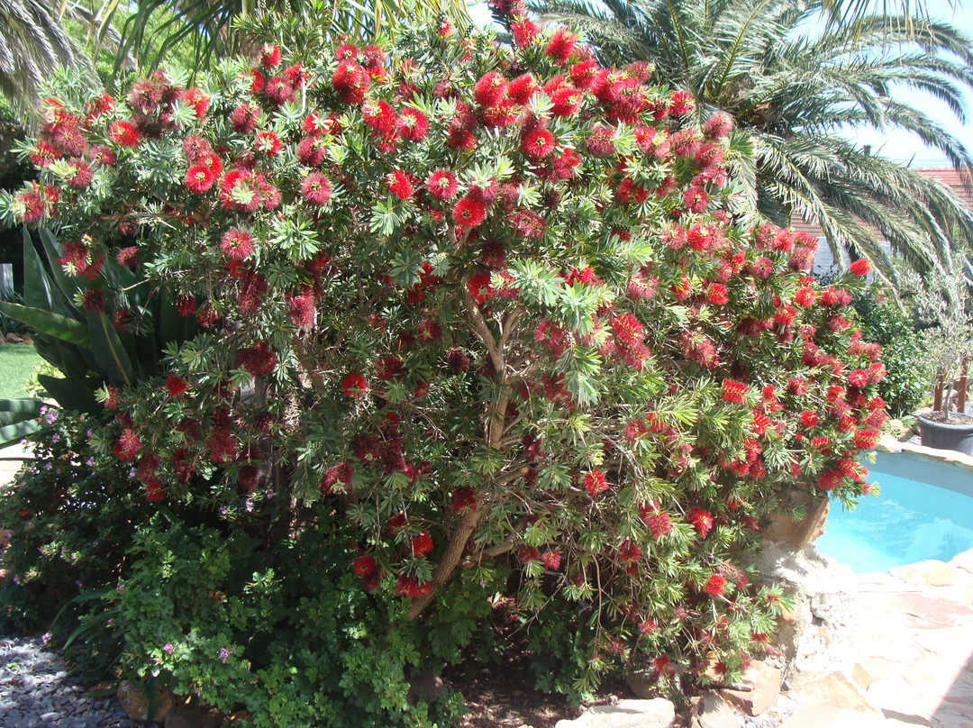 Bloemenzee Boutique B&B主图