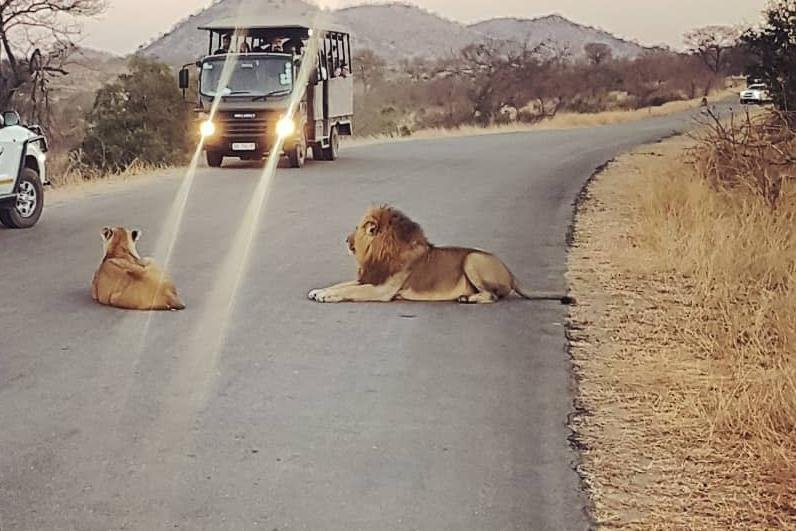 Tendi's Travel-开普敦中心区必去景点