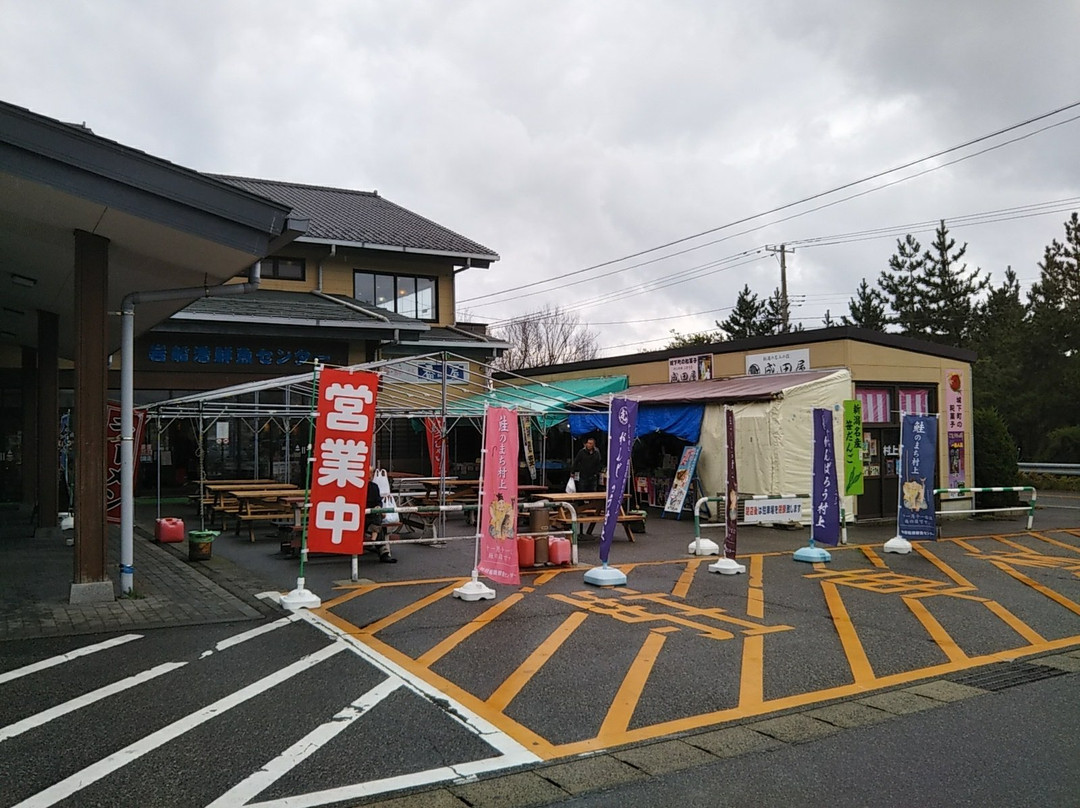 Iwafuneko Sengyo Center-村上市必去景点