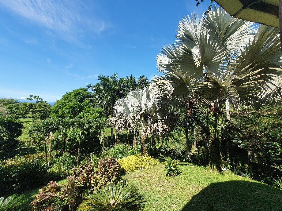 Finca Los Monos Botanical Garden景点图片