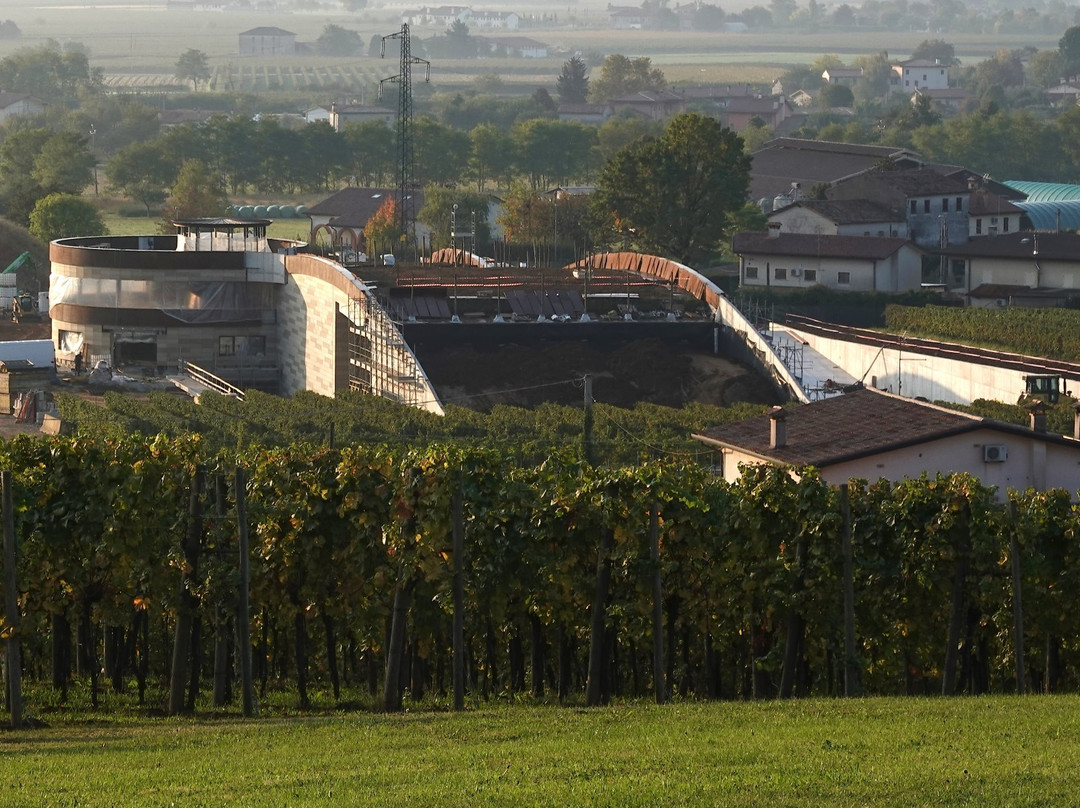 Giusti Wine景点图片