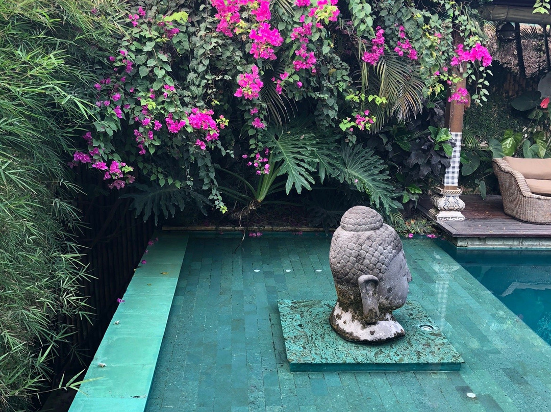 Lautan Kupu Kupu主图