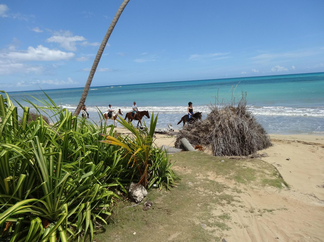 Rancho Playa景点图片