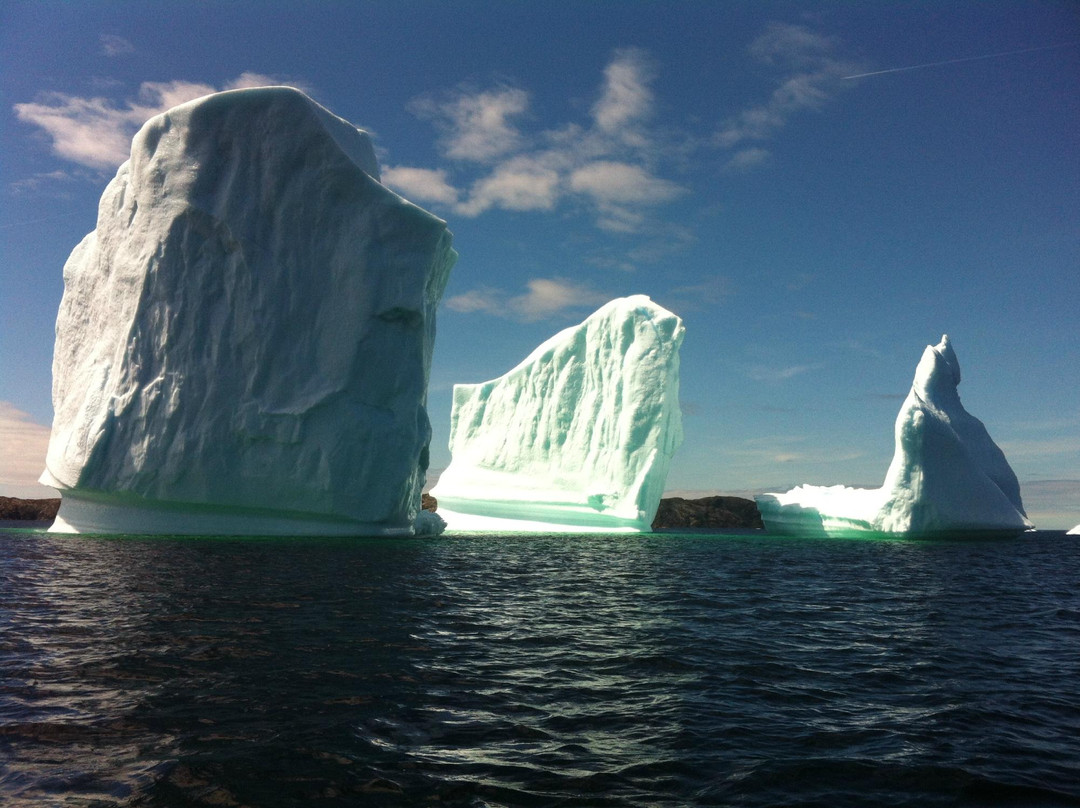Harbourview Boat Tours and Seafood Experience-New World Island必去景点