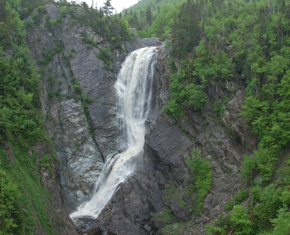 Steady Brook Falls Trail景点图片