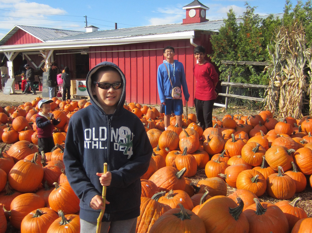 Reesor Farm Market-万锦市必去景点