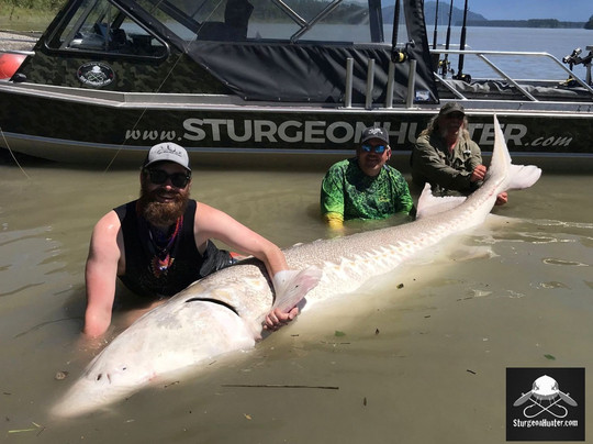 Sturgeon Hunter-奇利瓦克必去景点