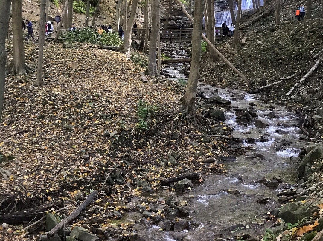 Dundas Valley Conservation Area-汉密尔顿必去景点