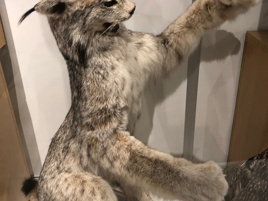 Les Escoumins旅游景点-Centre Archeo Topo