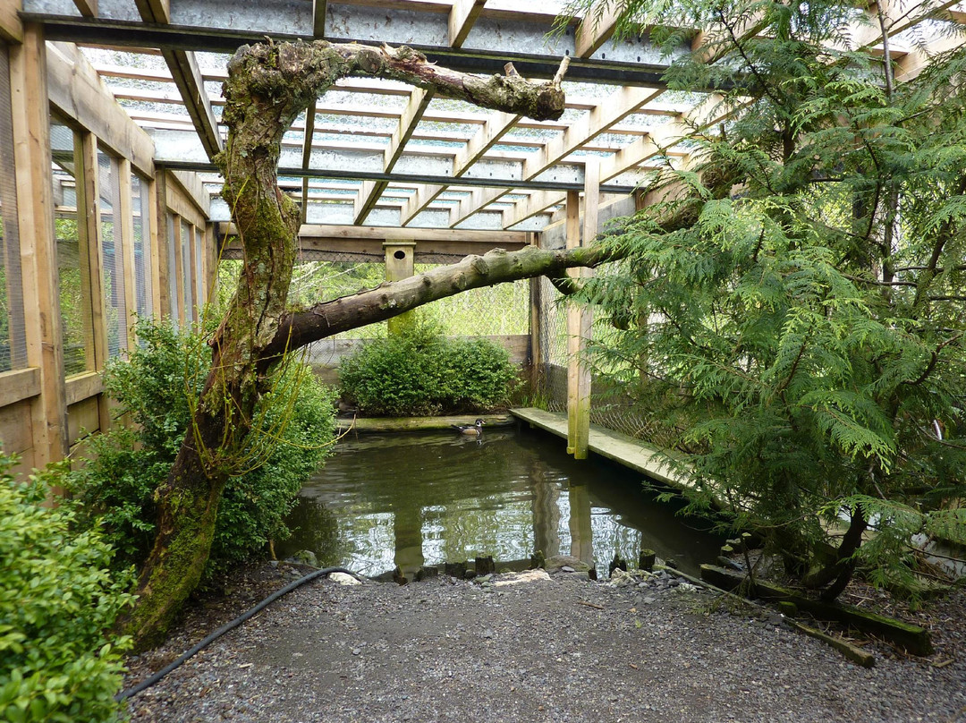 Prince Rupert Wildlife Rehab Shelter景点图片