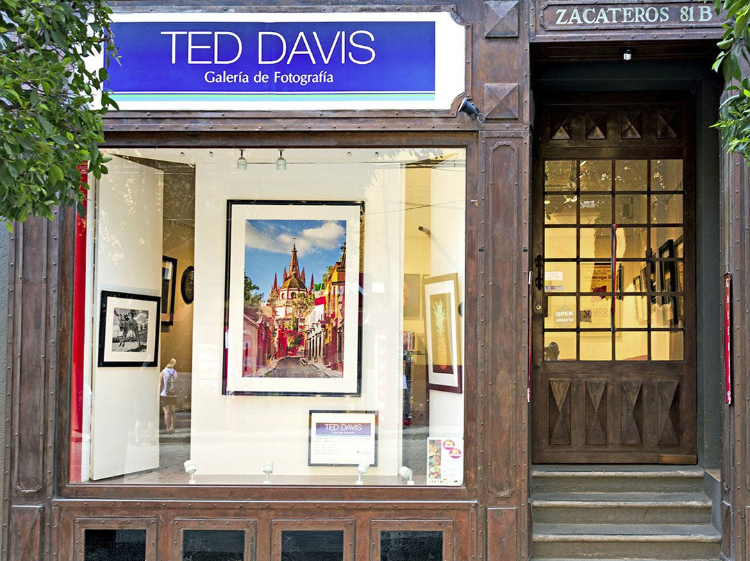Ted Davis Galeria de Fotografia景点图片