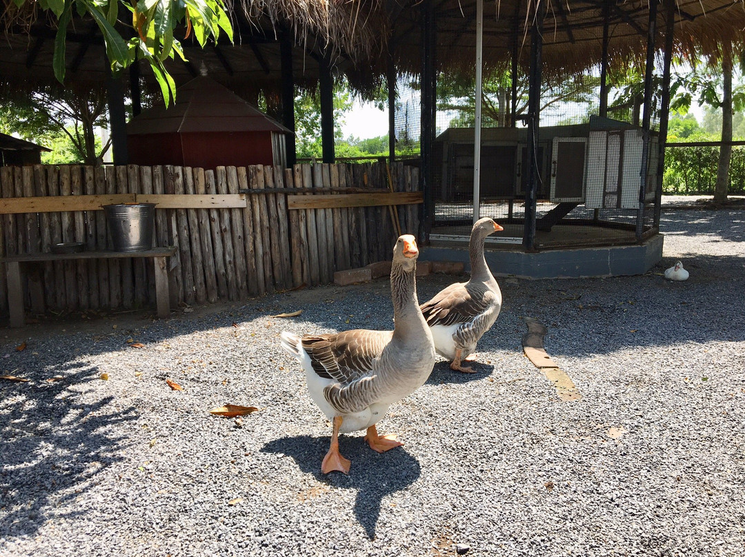 Farm de Lek景点图片