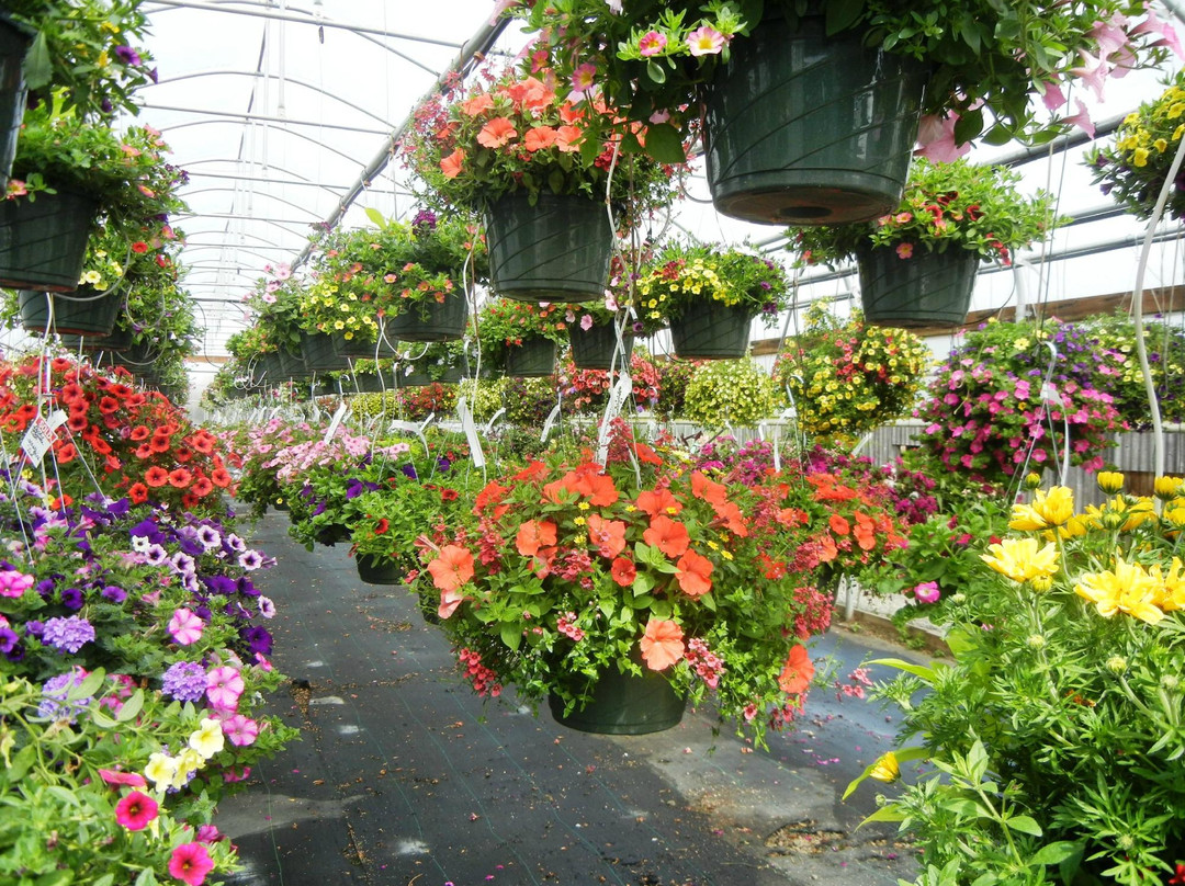 伍德本旅游景点-Bauman's Farm and Garden