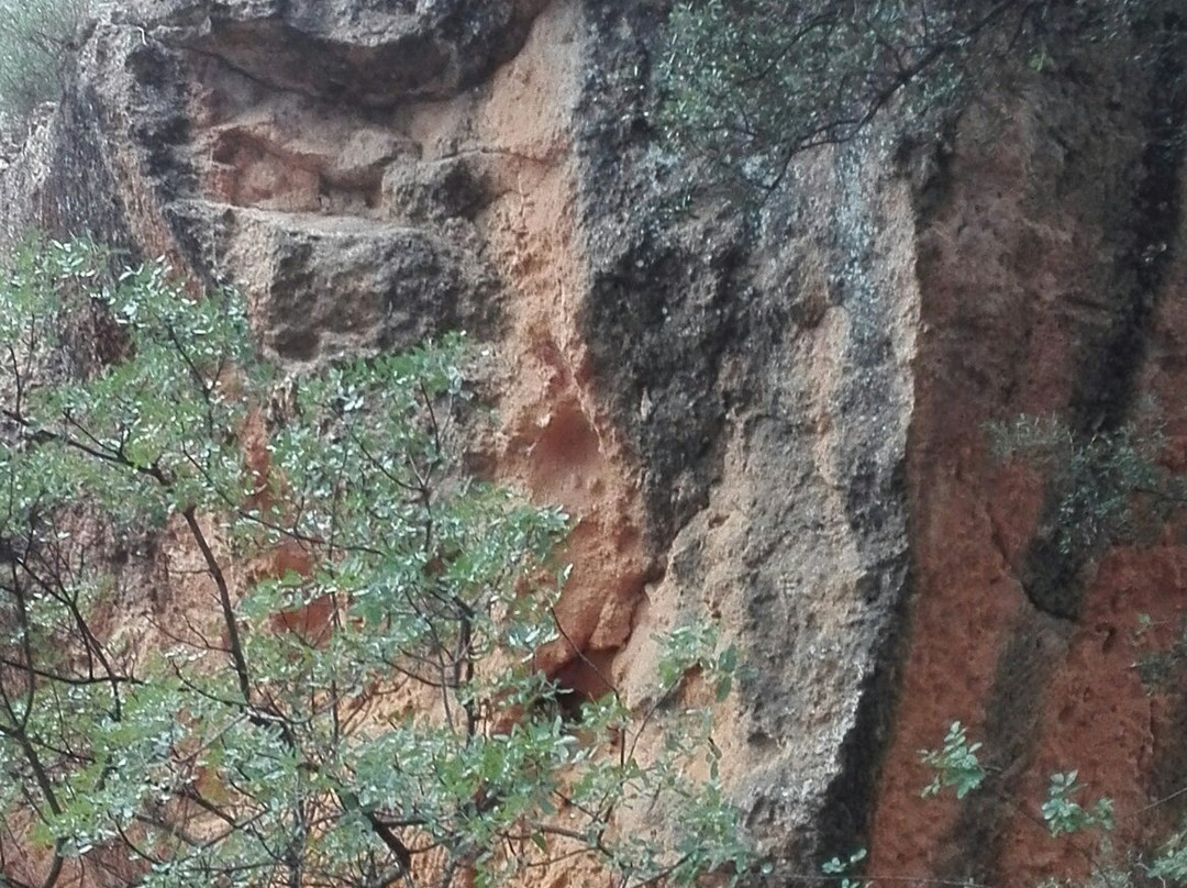 Carrières de Bibémus景点图片