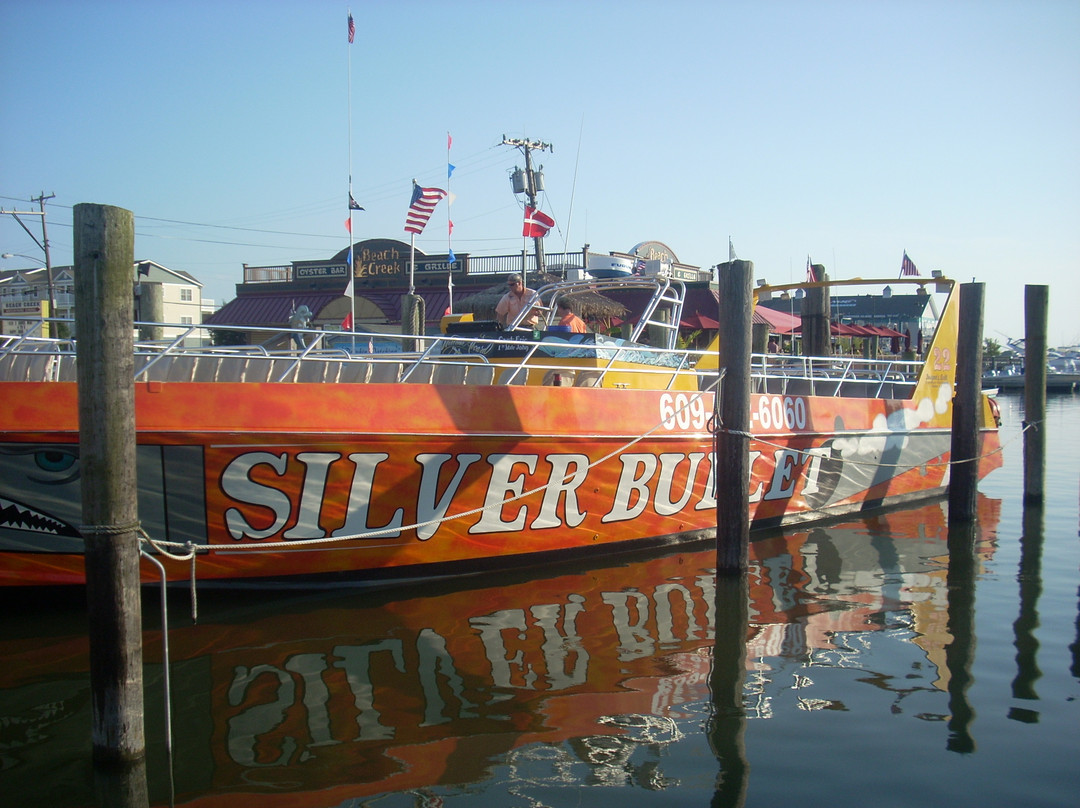 Silver Bullet Tours景点图片