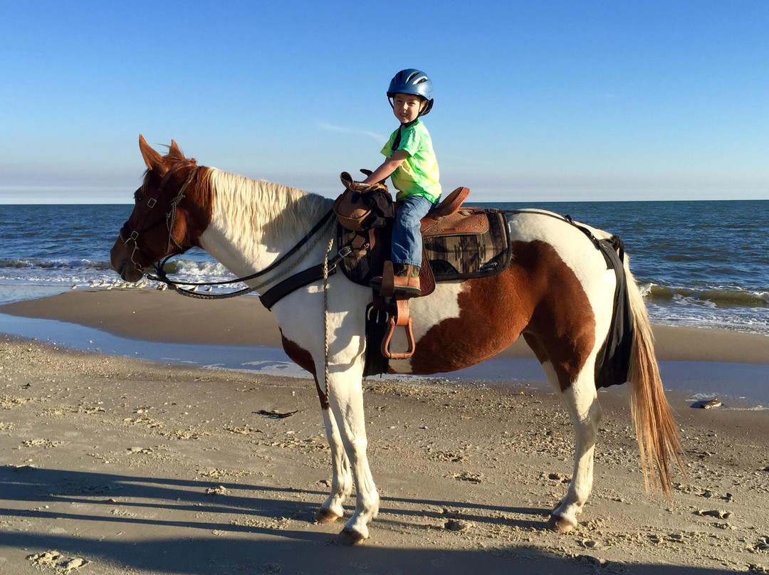 Broke A Toe Horseback Riding on the Beach-Cape San Blas必去景点
